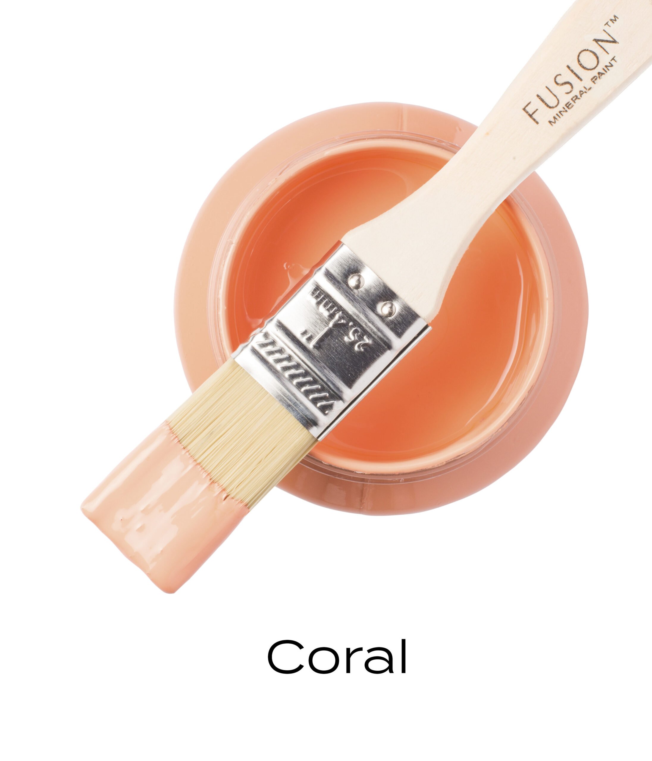 Coral - Image 5