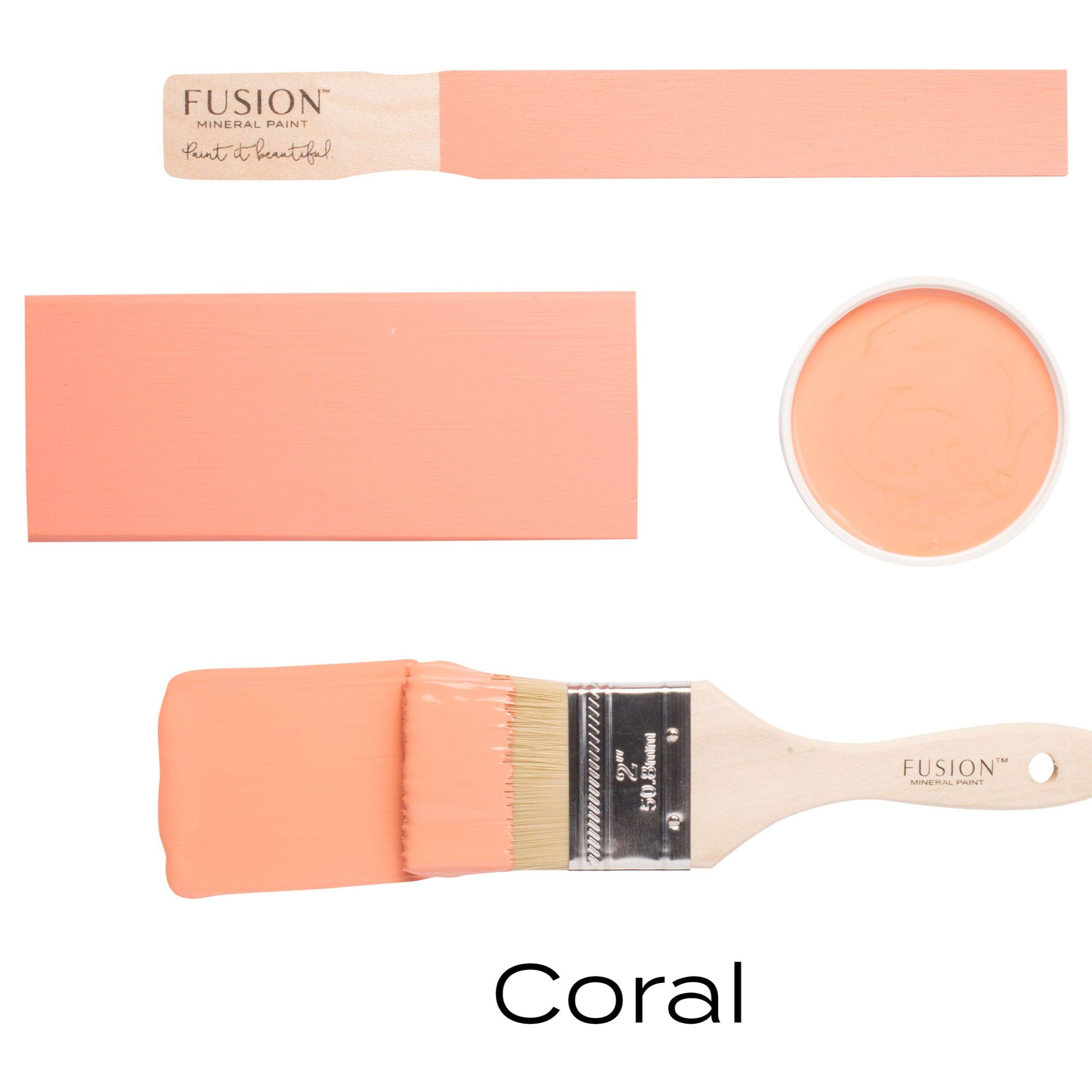 Coral - Image 6