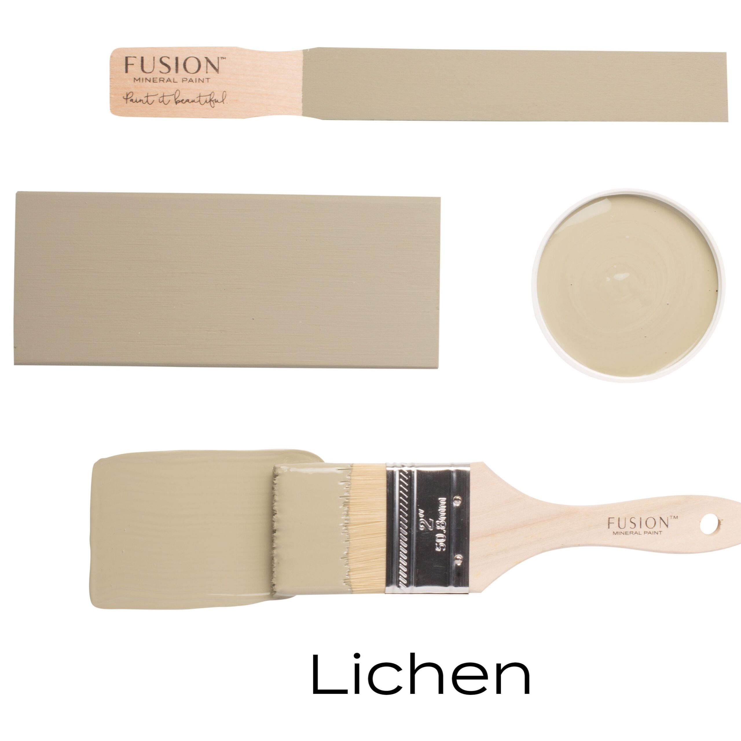 Lichen - Image 4