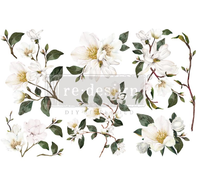 Siirtokuva White Magnolia