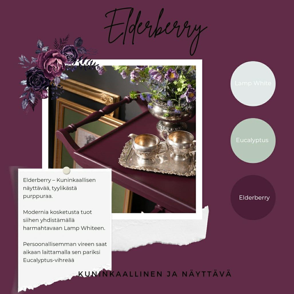 Elderberry - Image 5