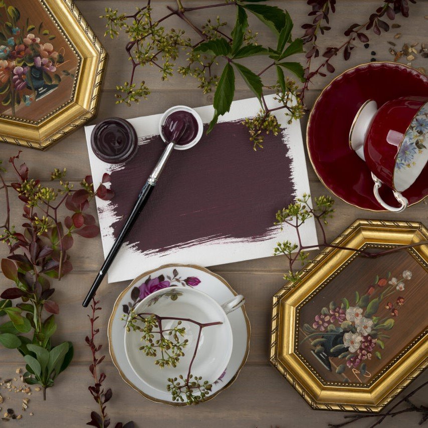 Elderberry - Image 4
