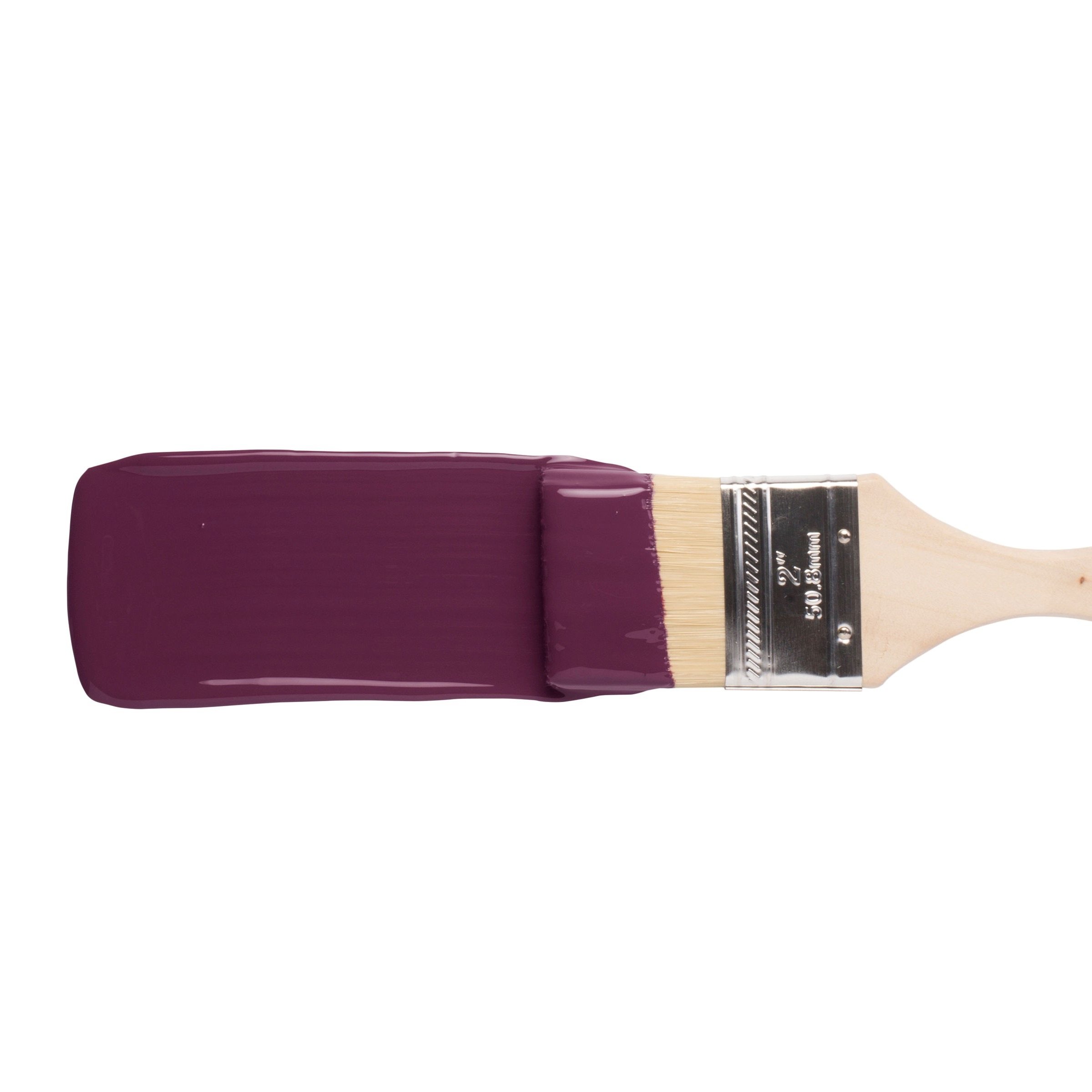 Elderberry - Image 8