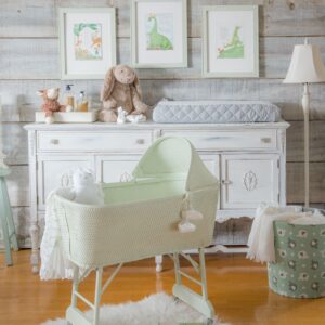 little-speckled-frog-1b