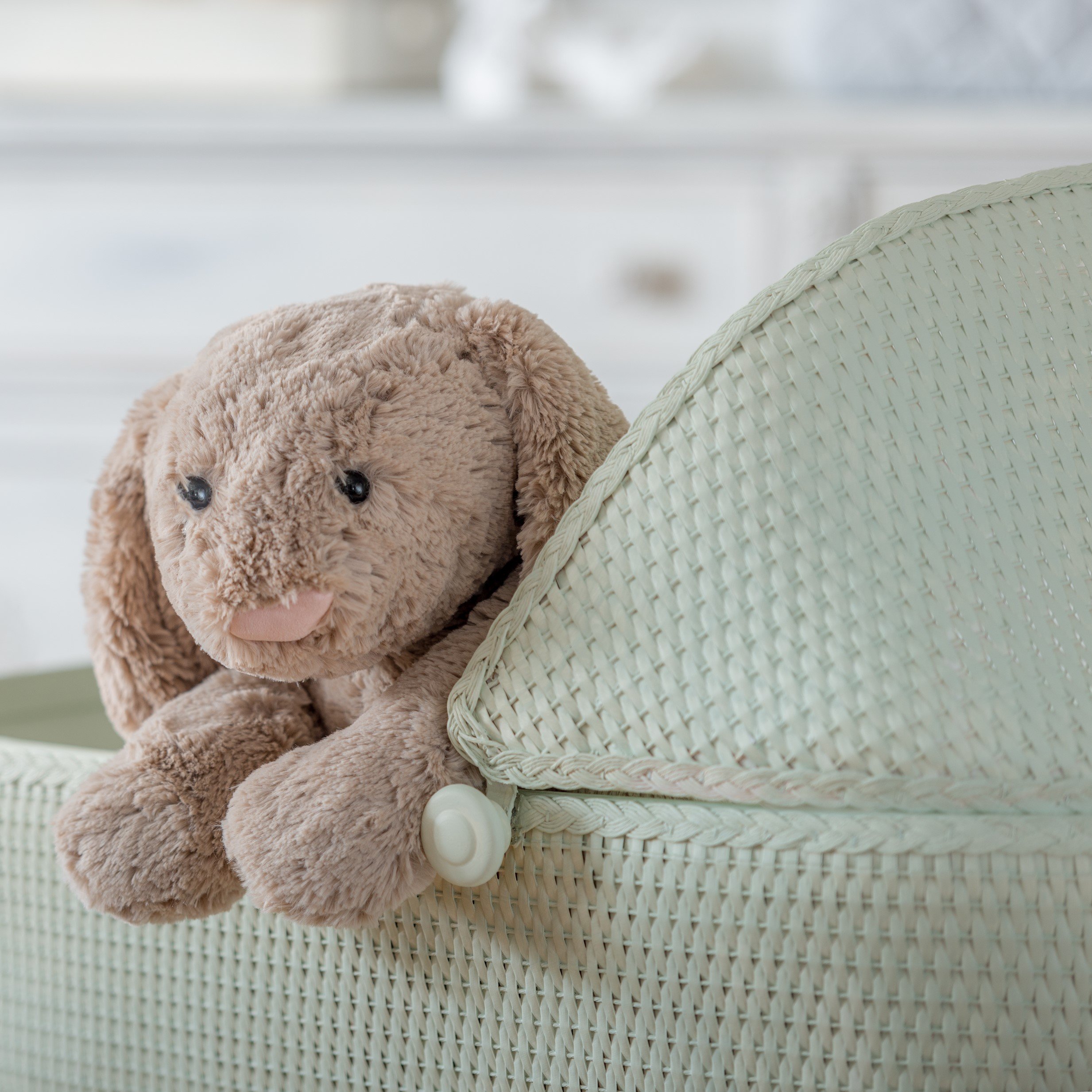 Little Speckled Frog - Image 3