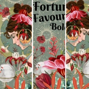 A3 Fortune Favours the Bold