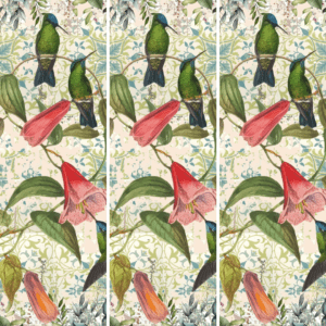 A3 Hummingbird