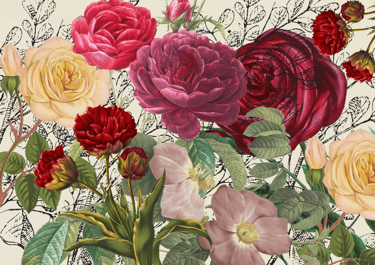 A3 Roses R Red - Image 2