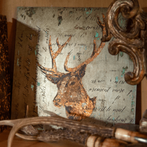 Deer Head 11
