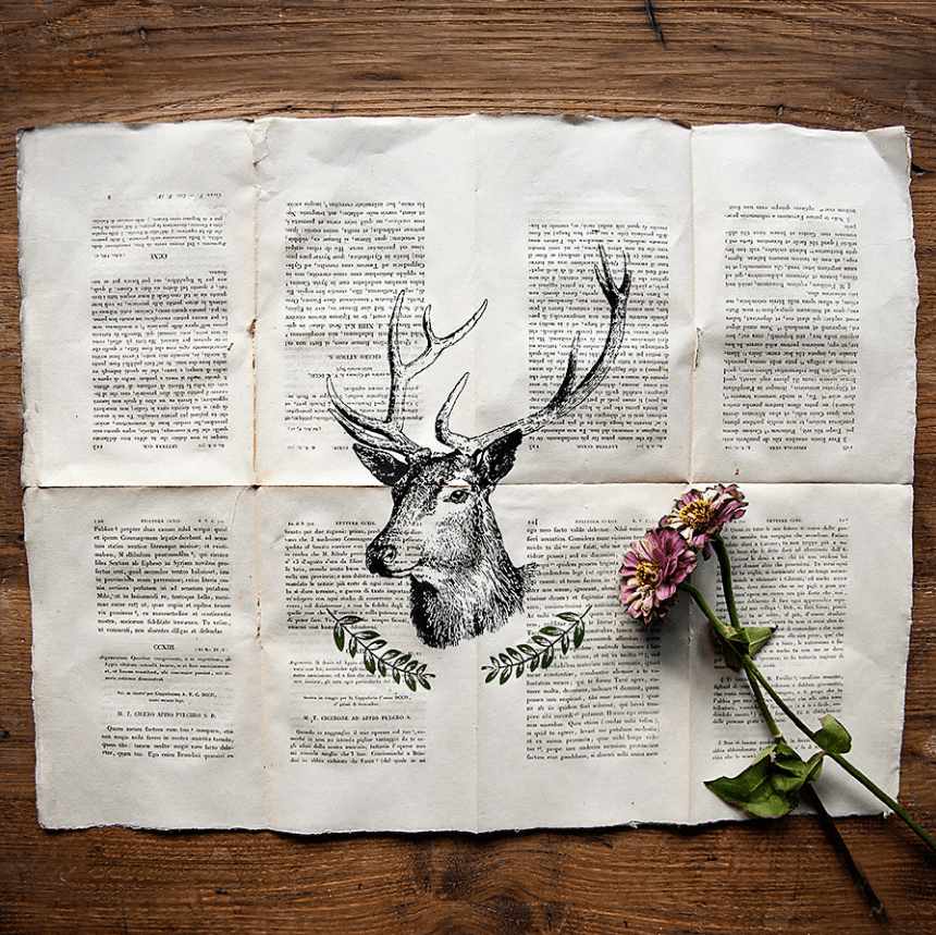 Deer Head - verkkosapluuna - Image 3