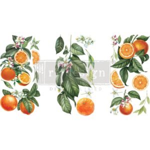 Siirtokuva Citrus Slice