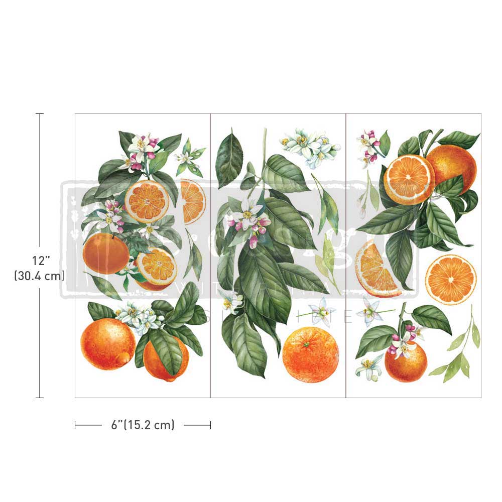 Siirtokuva Citrus Slice - Image 3