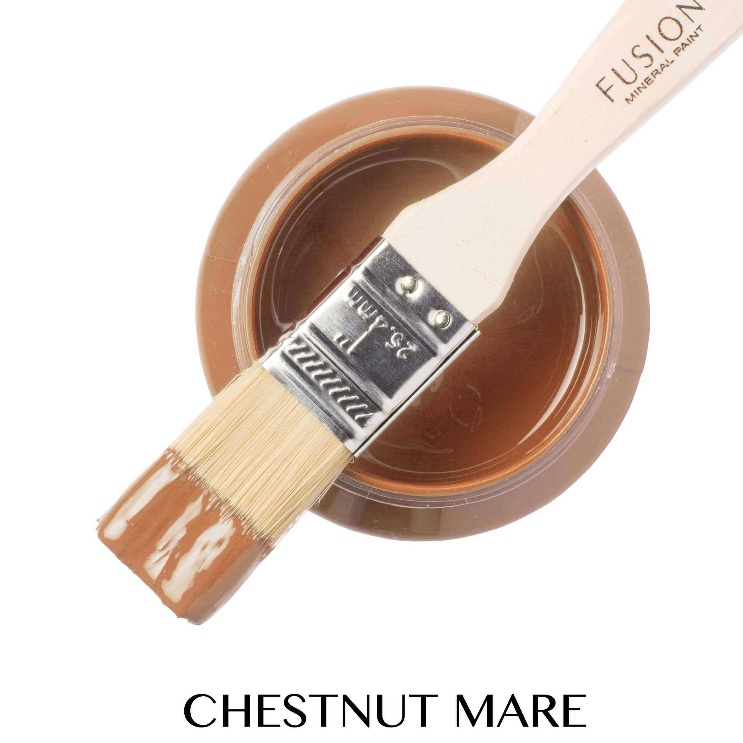 Chestnut Mare