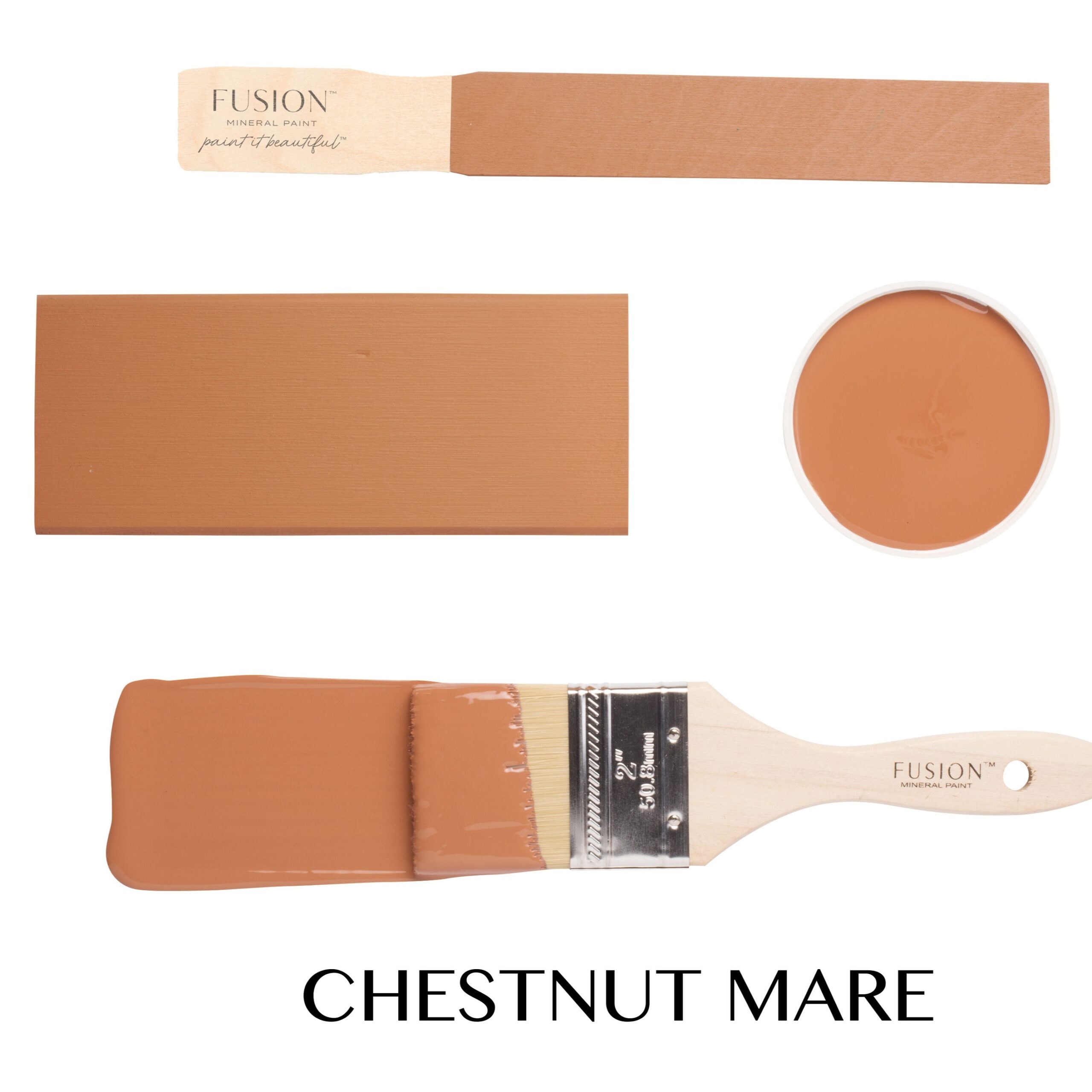 Chestnut Mare - Image 4