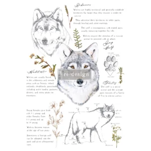 Siirtokuva Gray Wolf